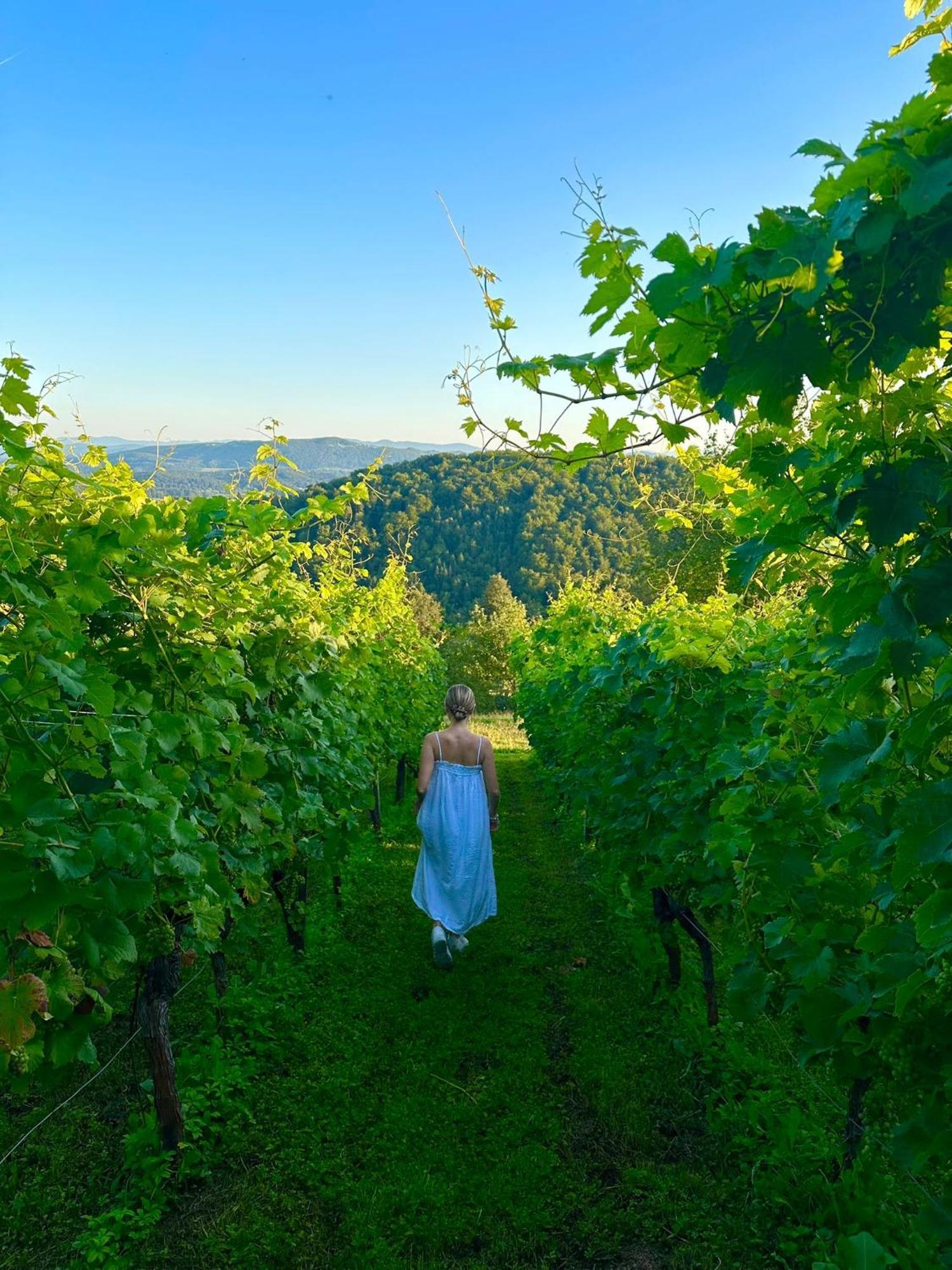 Zerko Holiday Home - Vineyard Chalet With Sauna And Jacuzzi Free Mirna Kültér fotó