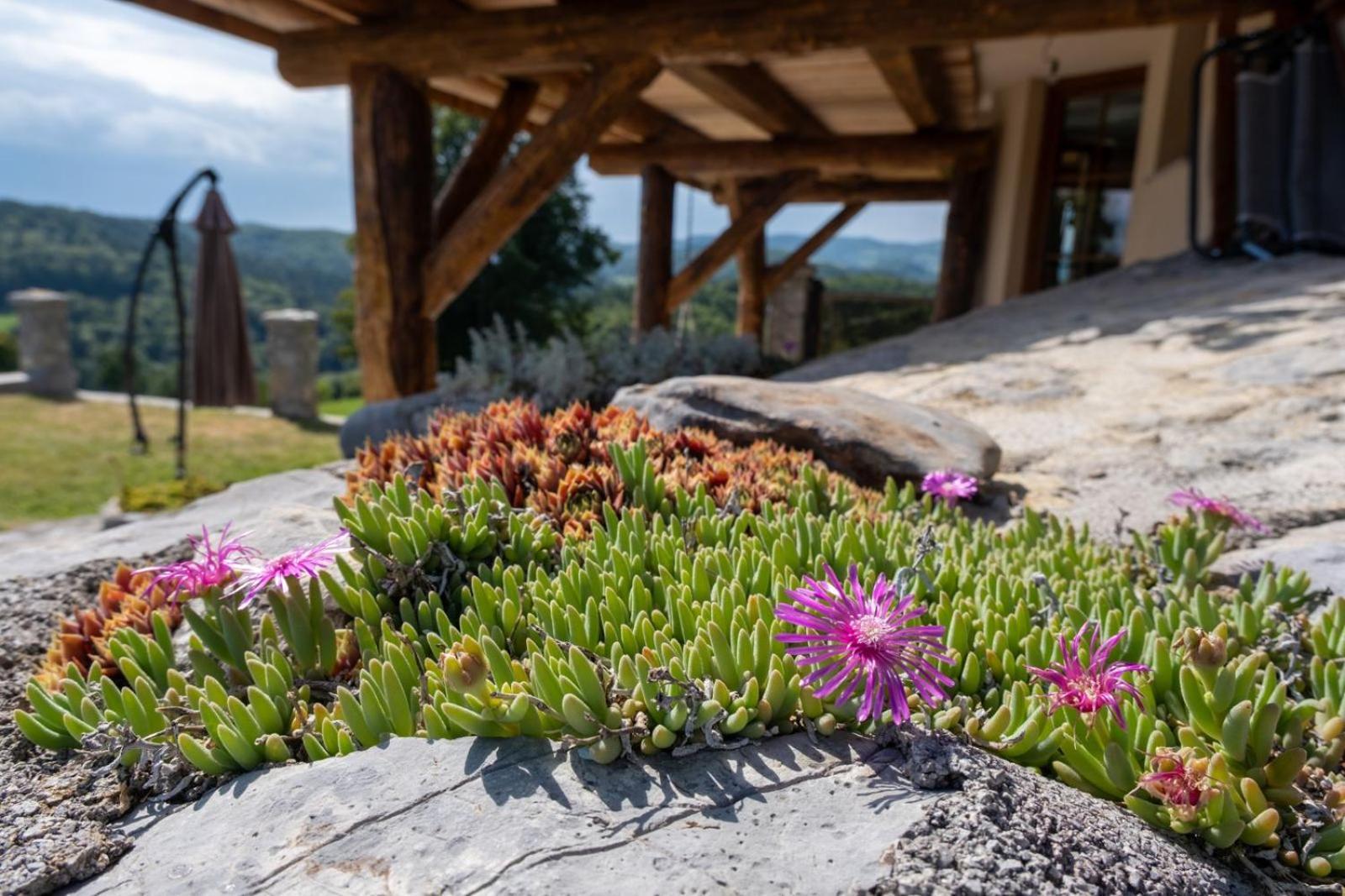 Zerko Holiday Home - Vineyard Chalet With Sauna And Jacuzzi Free Mirna Kültér fotó